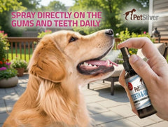 PetSilver Teeth & Gum Spray mist applied to a pet's teeth.