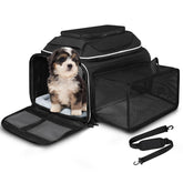 Petskd underseat expandable carrier shows compact travel design for pets