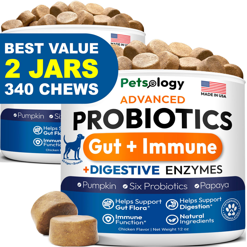 Petsology dog probiotics bottle with 340 chews for digestive support