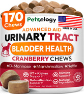 Petsology Dog UTI Chews bottle front β supports urinary tract health with cranberry and D-Mannose.