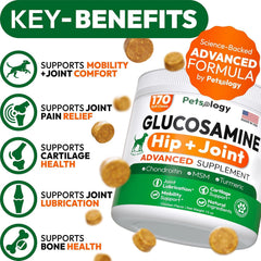 Petsology Glucosamine for Dogs bottle label showing USA-made quality for hip and joint care