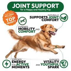 Petsology Glucosamine for Dogs joint-mobility photo illustrating active movement in dogs