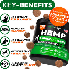Petsology Hemp Calming Chews dog paw closeup showing chew texture