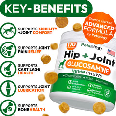 Petsology hemp hip and joint chews packaging with label
