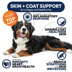 Petsology Omega 3 dog itching relief chews support comfort.
