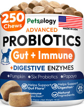 Petsology Probiotics for Dogs bottle on table supports gut balance and comfort.