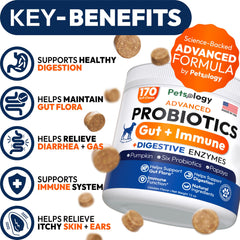 Petsology Probiotics for Dogs chews serving from bottle enables easy daily digestion support.