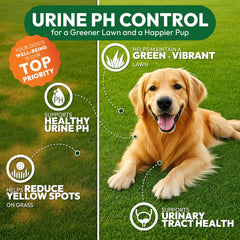 Petsology probiotic and enzyme chews illustrating digestive and urinary support.