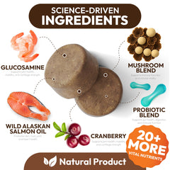 Petsology reishi dogs immunity chews display premium mushroom blend for wellness.