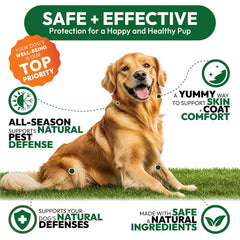 Petsology tasty chew for dogs demonstrates palatable protection during daily routines.