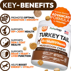Petsology Turkey Tail pills close-up for daily canine dosing.