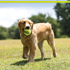 PetSport Tuff Ball chew-toy highlights durable rubber for long chewing fun.