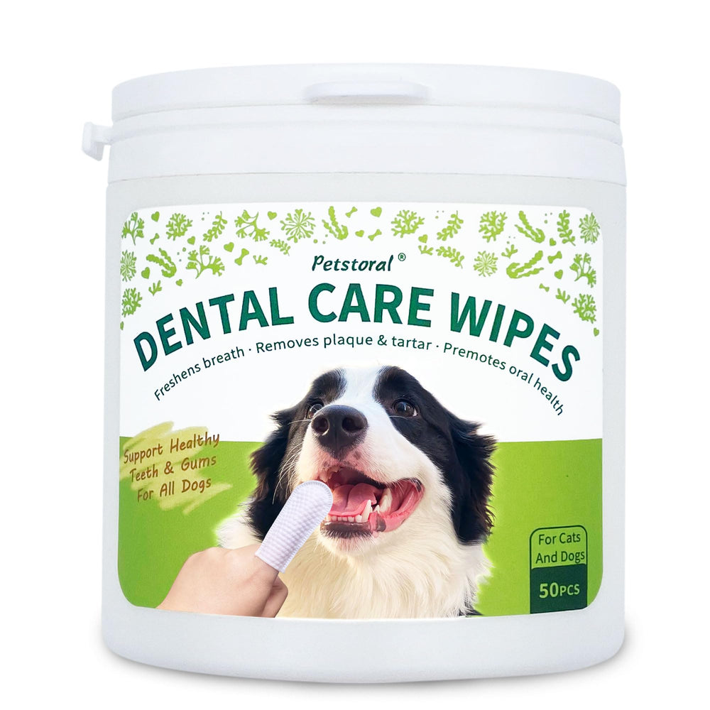 Petstoral Dental Care Wipes packaging and sturdy container for quick access.