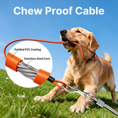 Petsuper 360-degree tangle-free exit keeps the leash smooth during circles.