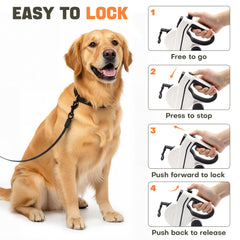 PETSWEET integrated poop bag dispenser keeps walks clean