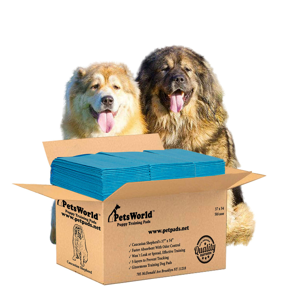 PETSWORLD Enormous 37x54 dog pee pads offering large coverage for giant breeds.