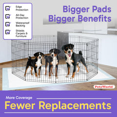 PETSWORLD five-layer absorption technology for reliable mess containment.