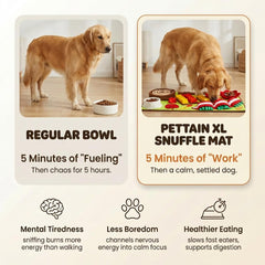 Pettain Snuffle Mat large 32x20 washable design for easy cleanup after play