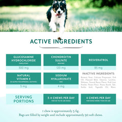 PetThrive hip joint chews texture closeup shows chewy consistency for dogs.