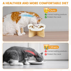 Pettom Food-grade Ceramic Bowl ensures safe, durable mealtime.