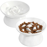 Pettom slow feeder cat bowl tilt-elevated design for comfortable dining