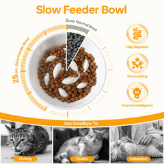 Pettom slow feeder cat bowl wide-mouth for whisker-friendly access