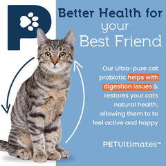 PetUltimates cat probiotics dosing spoon shows easy meal mixing