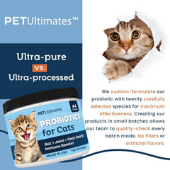 PetUltimates cat probiotic powder dispensed onto food for digestion