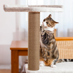 PETUOL thickened cardboard tube detail highlighting sturdy construction.