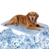 Petvolve dog cooling mat surface delivers quick relief on hot days.