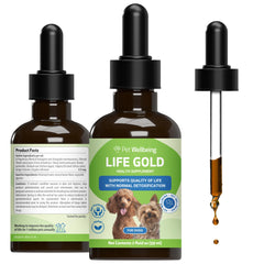 Pet Wellbeing Life Gold dog bottle label ready to support daily immune health.