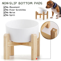 Petygooing ceramic porcelain bowl lead-free and easy to clean