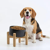 Petygooing elevated ceramic bowl on a wood stand stabilizes meals and prevents sliding.