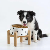 Petygooing elevated tilt bowl on wood stand for easier feeding.