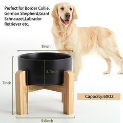 Petygooing large 7.6 cup bowl ready for medium to large breeds