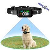 Petyida GPS dog fence collar demonstrates boundary awareness for outdoors.