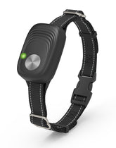 PETZEE automatic door collar compatible with MS-4/MS-5 for smooth pet access
