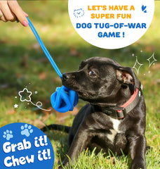 PetZee cage-ball toy with twisting shape sparks curiosity and play.