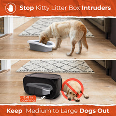 Pexter cat litter box enclosure in foldable design for easy storage and travel.