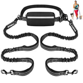 Philorn hands-free dual-dog leash in use during park walk for hands-free control