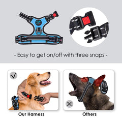 PHOEPET back-handle harness blue for closer control during walks.