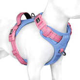 PHOEPET No Pull Harness front view in baby blue base with pink straps for easy fitting.