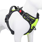 PHOEPET No Pull harness with front-clip design improves control during daily walks.