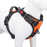 PHOEPET No-Pull Harness Medium, main view, easy on/off design for quick fitting