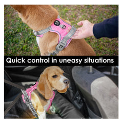 PHOEPET No Pull Harness with four adjustable straps for a secure fit.
