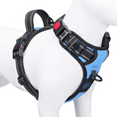 PHOEPET no-pull harness with front and back buckles for easy on and off.