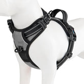 PHOEPET No Pull Harness front clip improves control during daily walks.