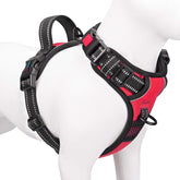 PHOEPET No Pull Harness with front clip enhances walk control.