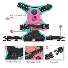 PHOEPET reflective strip enhances visibility on dusk walks.