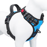 PHOEPET no-pull harness for small dogs in blue for comfortable walks.